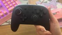 Nintendo Switch 2 Pro Controller review - the perfect partner